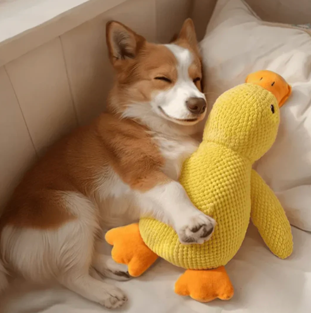 Calming Duck Toy