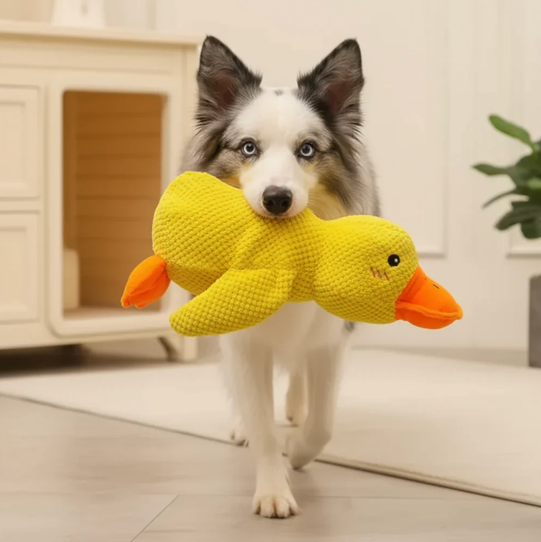 Calming Duck Toy