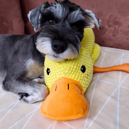 Calming Duck Toy